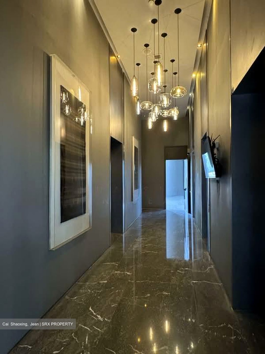 Skysuites@Anson (D2), Apartment #545301631